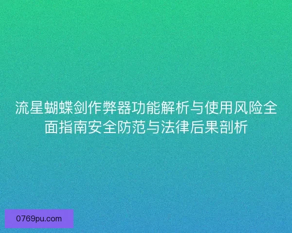流星蝴蝶剑作弊器功能解析与使用风险全面指南安全防范与法律后果剖析