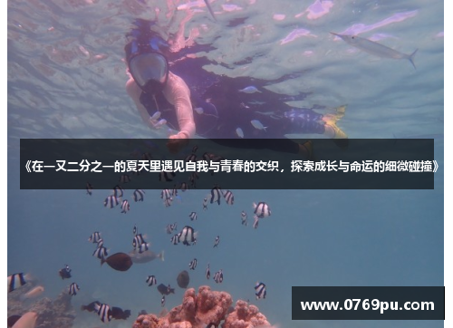 《在一又二分之一的夏天里遇见自我与青春的交织，探索成长与命运的细微碰撞》