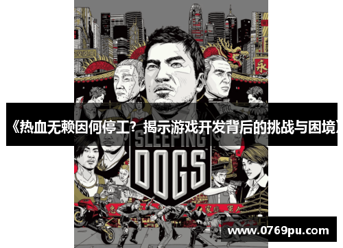 《热血无赖因何停工？揭示游戏开发背后的挑战与困境》